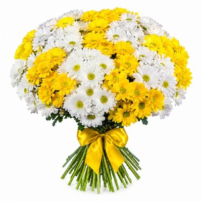 Хризантема кустовая микс 5
