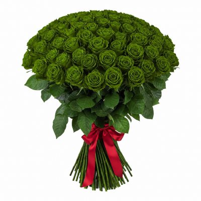 Розы Эквадор зеленые